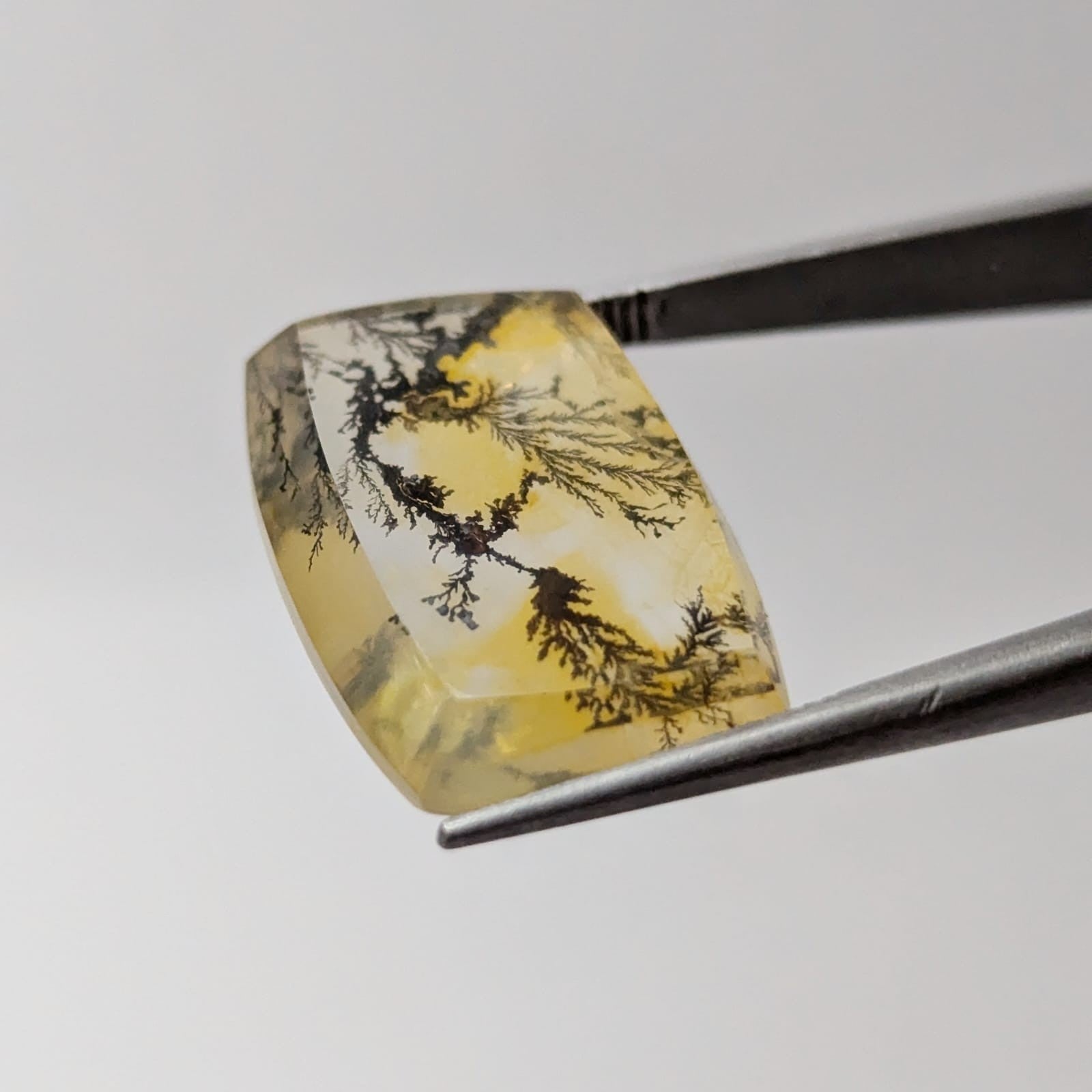 Cuarzo con dendrita Cabuchon Forma libre 21 mm x 14.8 mm