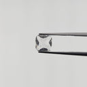 F-TBJ1
