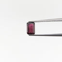 F-GRD2