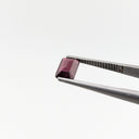 F-GRD2