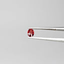 Zafiro Rojo Facetado Ovalado 3x4 mm