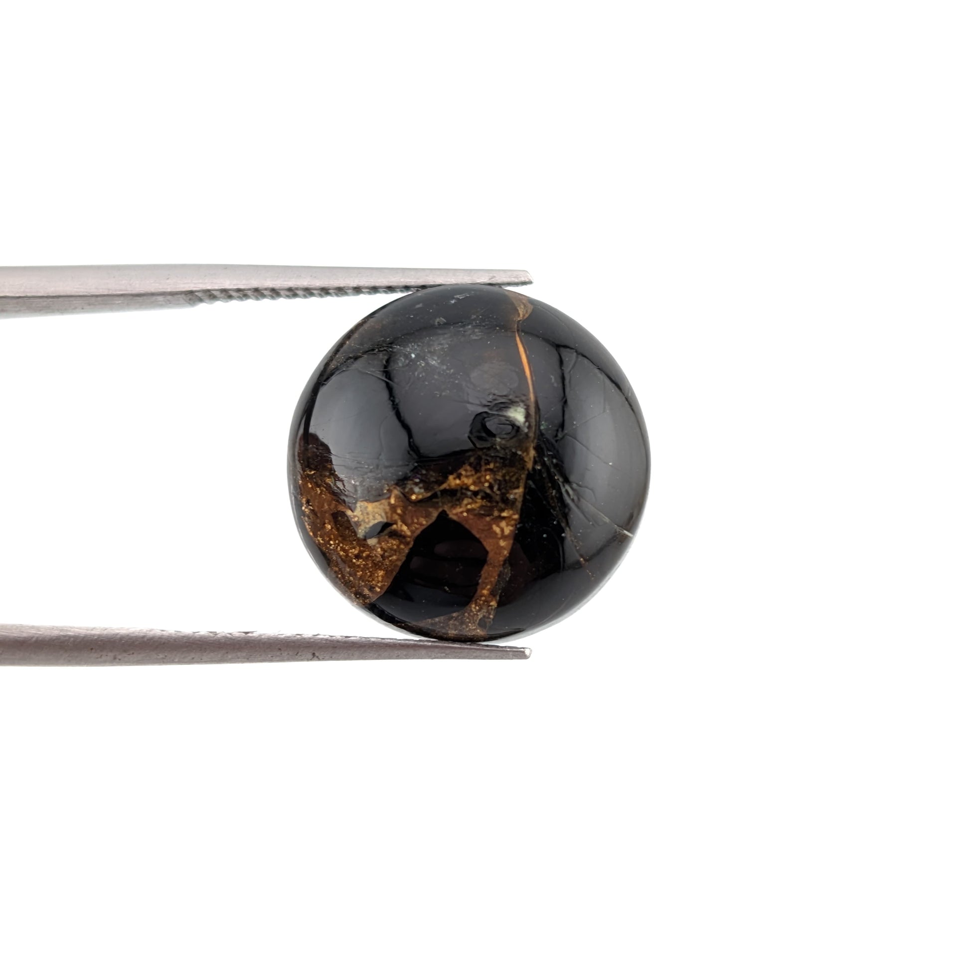 Obsidiana con cobre Cabuchon Redondo 13 mm