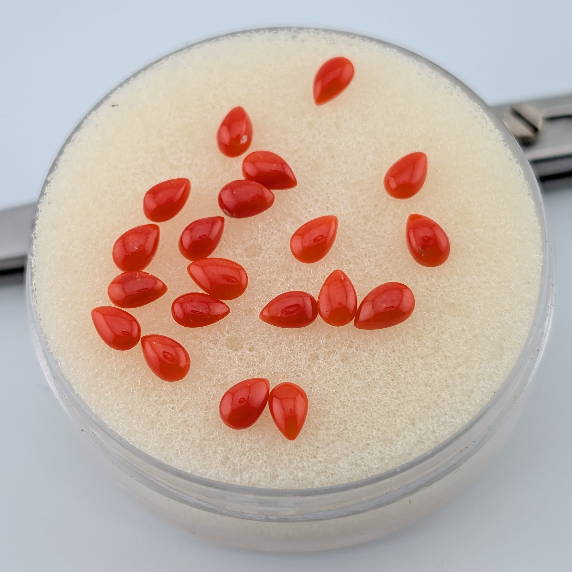 Coral rojo Cabuchon Redondo 2 mm