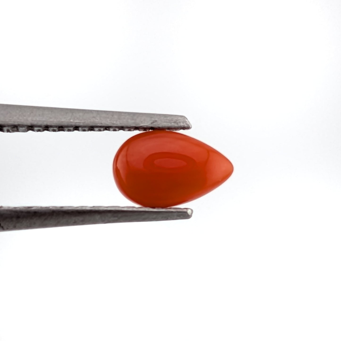 Coral rojo Cabuchon Gota 3 mm x 5 mm