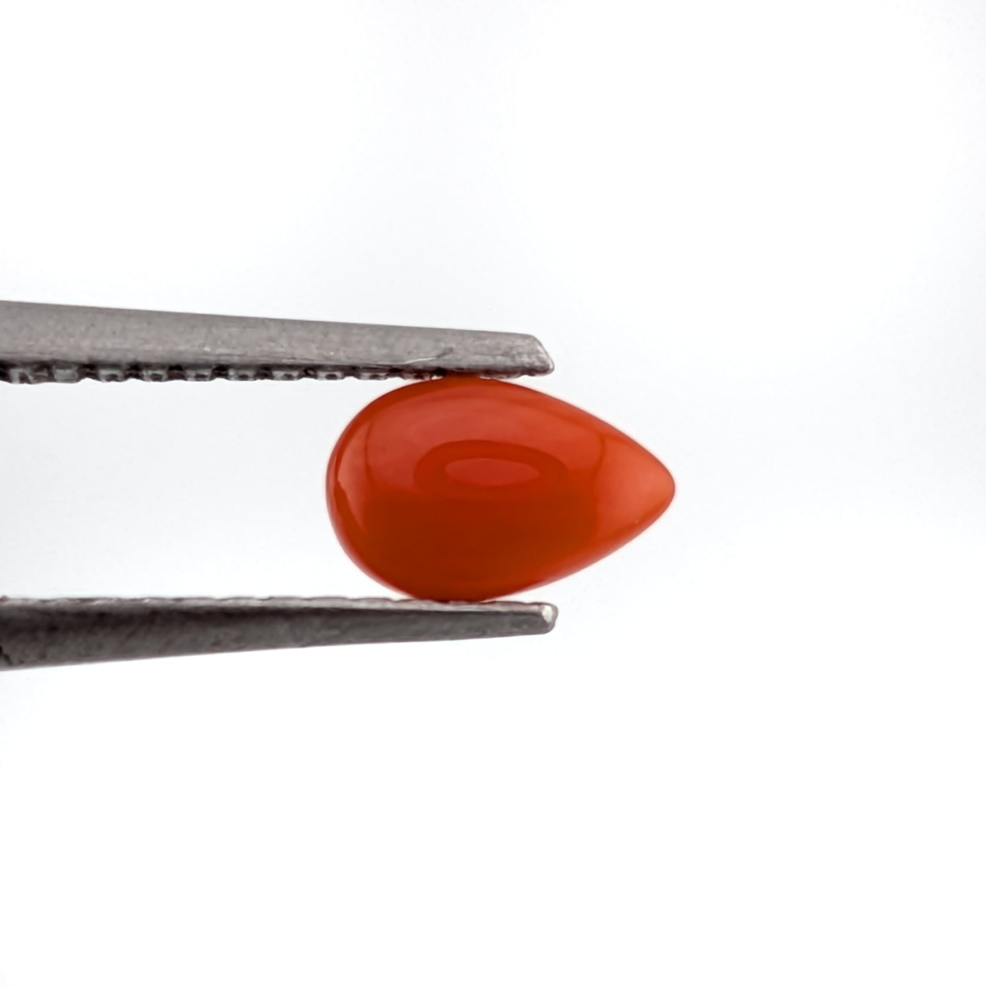 Coral rojo Cabuchon Gota 3 mm x 5 mm