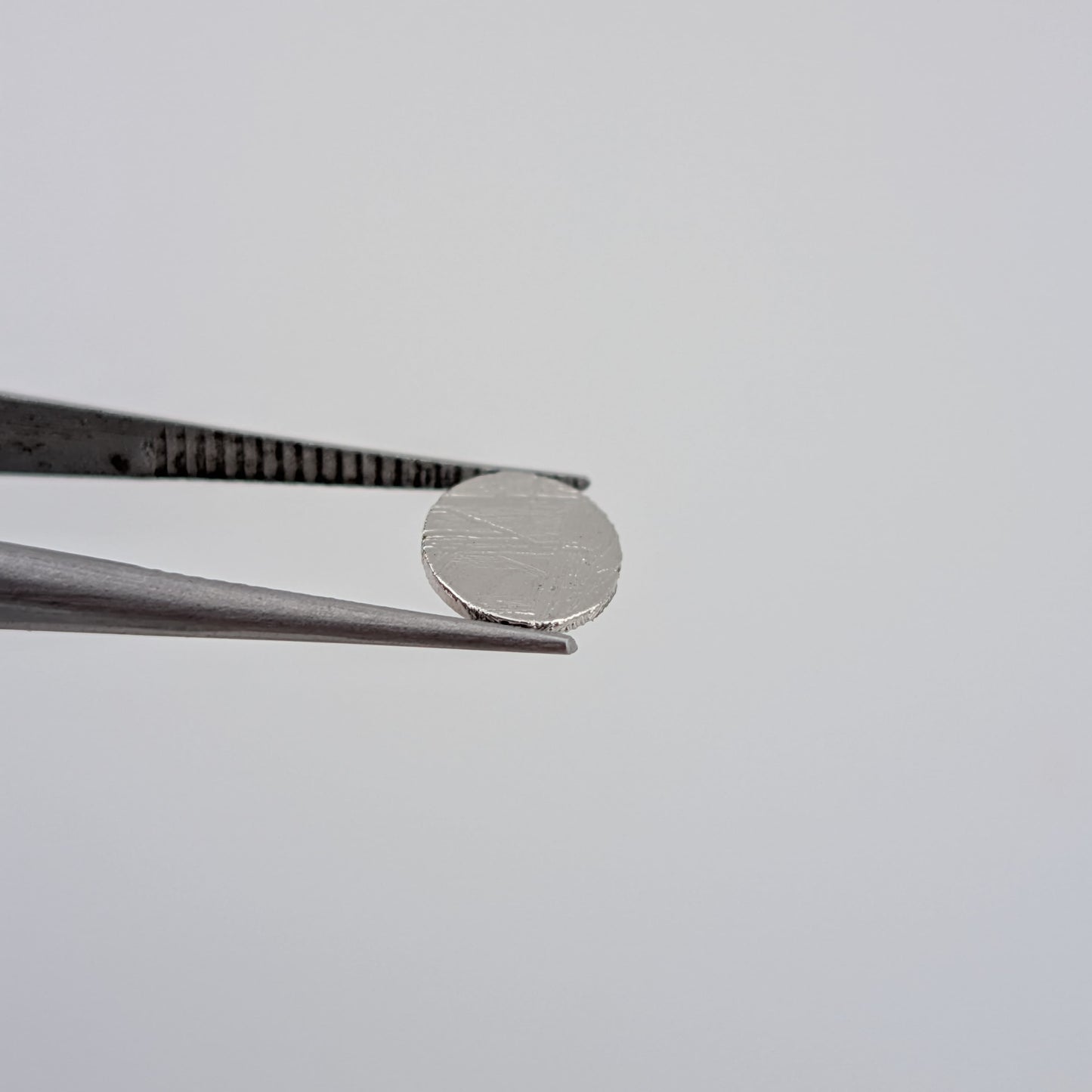 Meteorito Gris Muonionalusta Rodajas Ovalado 6 mm x 8 mm
