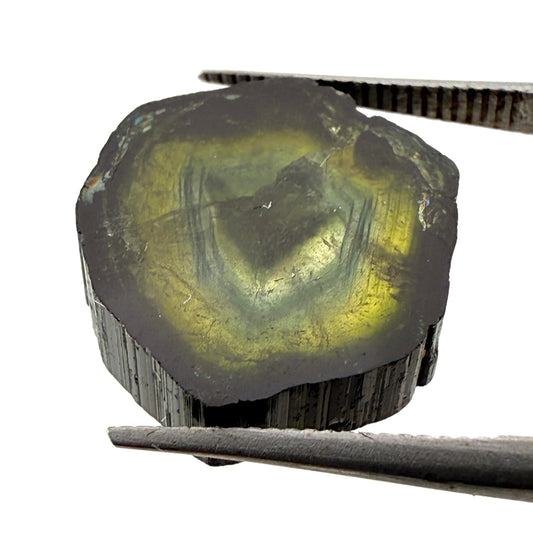 Turmalina Liddicoatita 15 mm