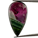 Turmalina Liddicoatita 24 x 12 mm