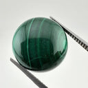 C-MALA2