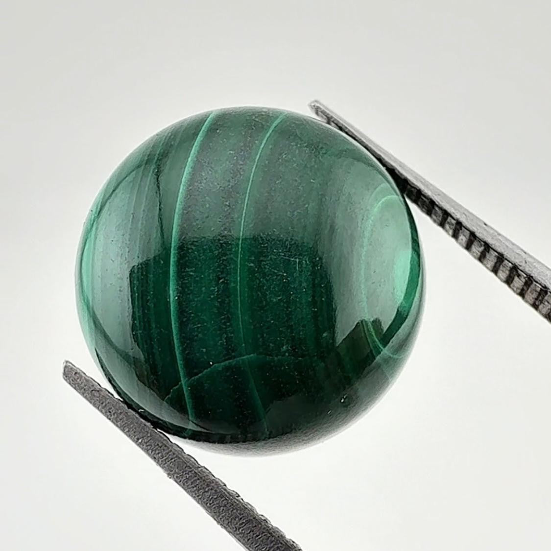 C-MALA2
