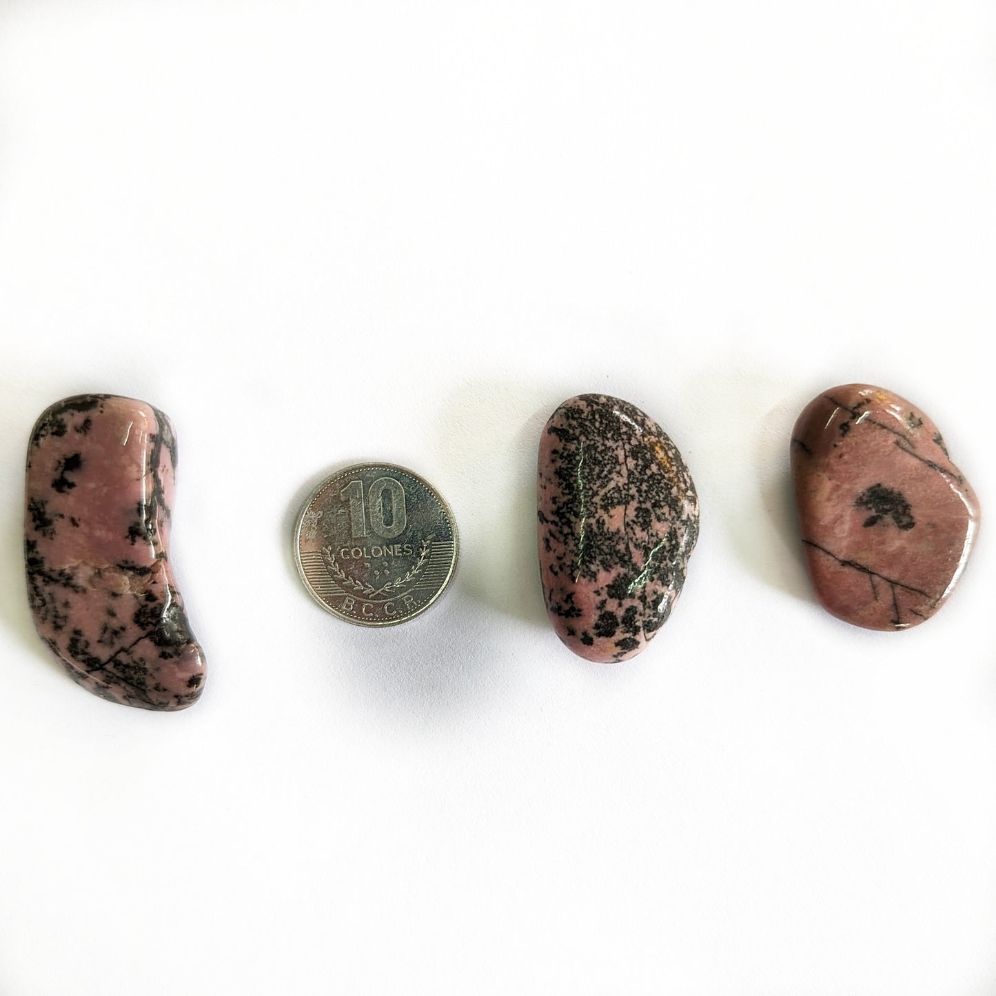 P-ROD1