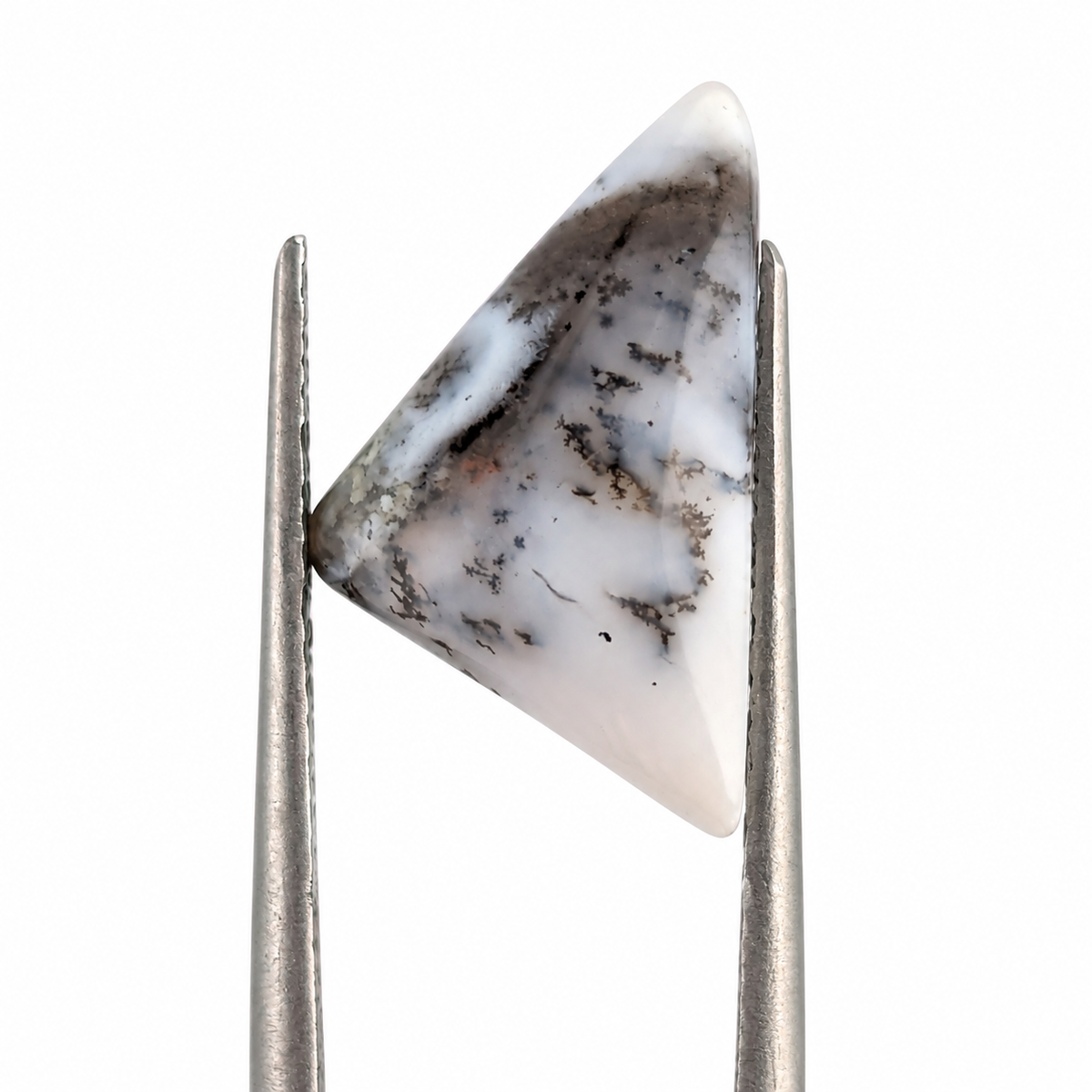 Ágata dendrítica Cabuchón Forma Libre 11.5 x 9.9 mm
