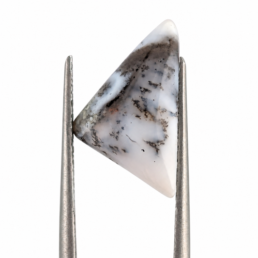 Ágata dendrítica Cabuchón Forma Libre 11.5 x 9.9 mm