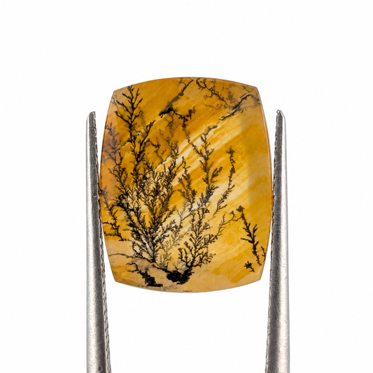 Cuarzo Dendrítico Cojín alargado 17.5 x 15.2 mm
