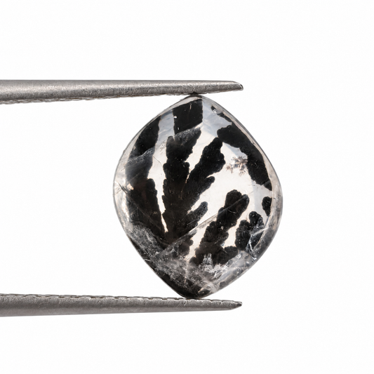 Cuarzo Dendrítico Forma Libre 12 x 10 mm