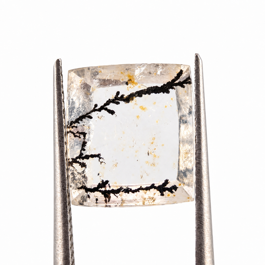Cuarzo Dendrítico Rectangular 12 x 11 mm