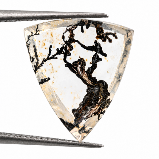 Cuarzo Dendrítico Trillante 15 x 13 mm