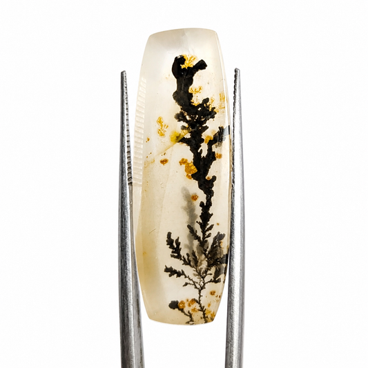 Cuarzo con dendrita Cabuchon Forma libre 33.42 mm x 11.28 mm