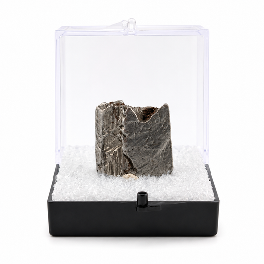 Meteorito Aletai en Caja de acrílico ~3.5 cm