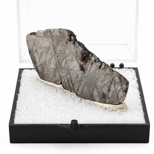 Meteorito Muonionalusta en Caja de Acrílico 6.5 cm