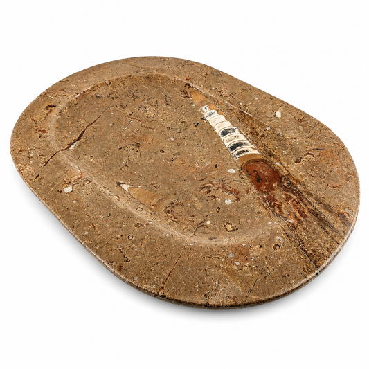 Plato de Orthoceras de Marruecos 23x34 cm