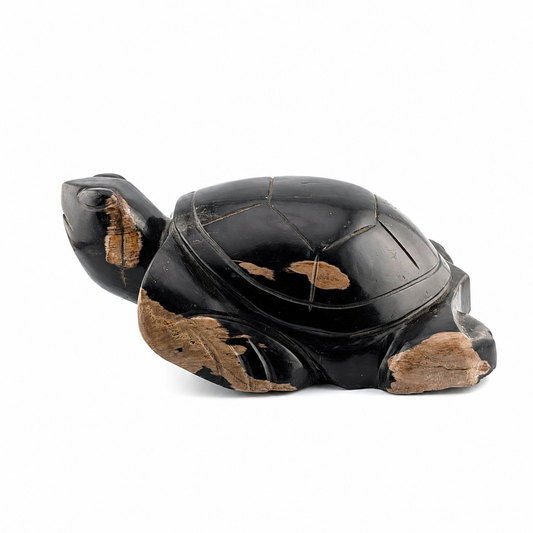 Tortuga de madera petrificada