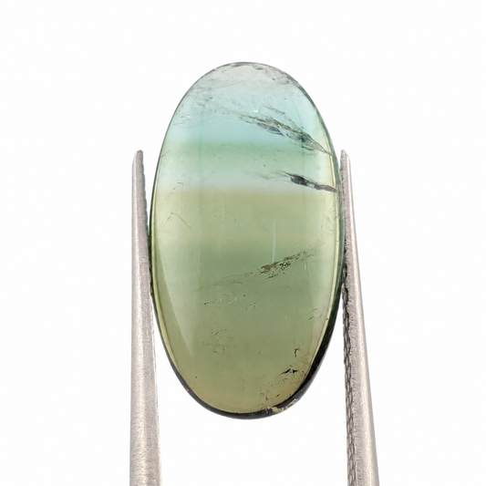 Turmalina Cabuchón Ovalada 18.5 x 10 mm
