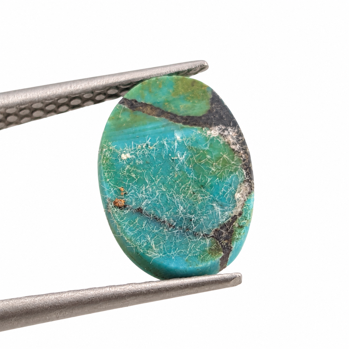 Turquesa Cabuchón Ovalada 14 x 10 mm