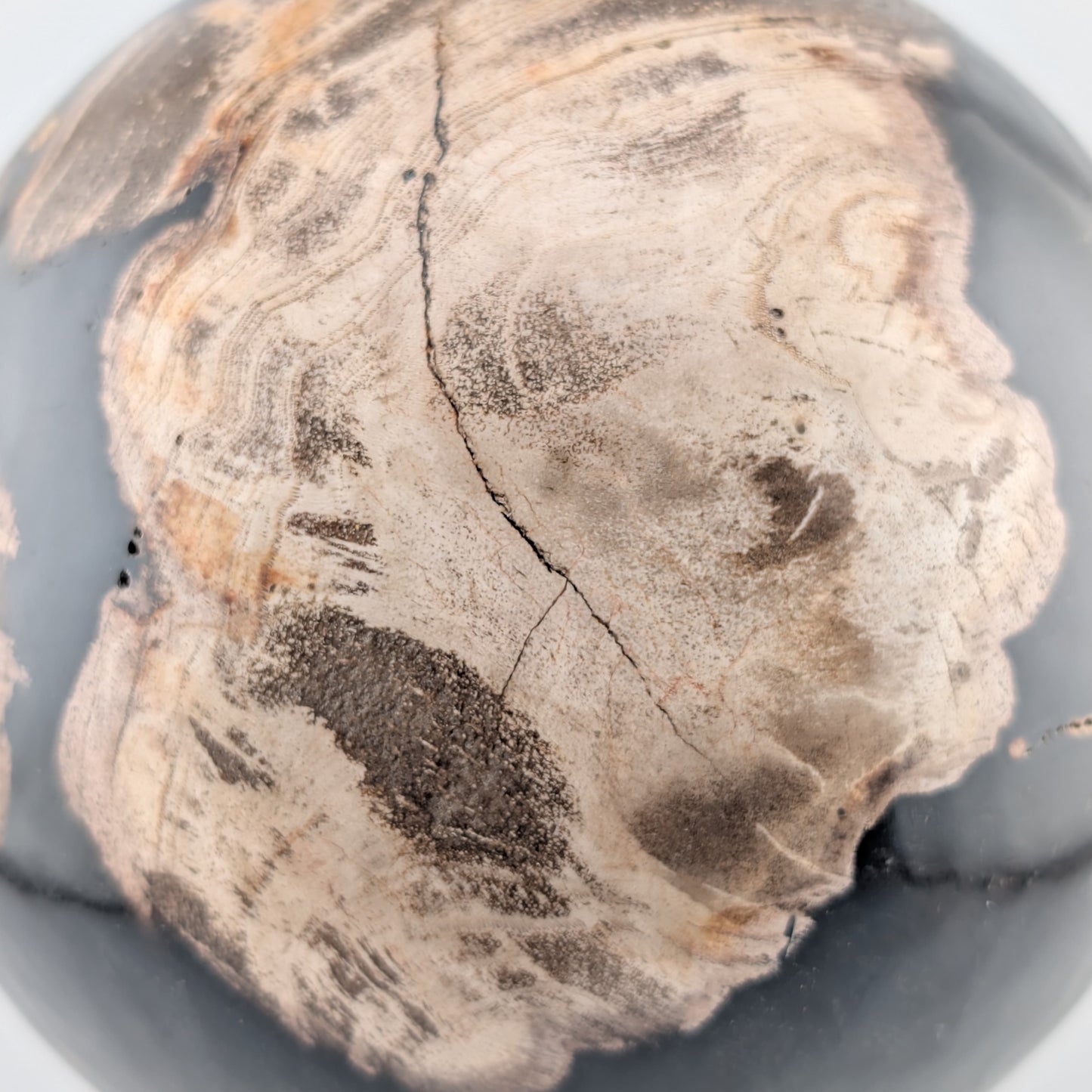 Esfera de madera petrificada ~8 cm