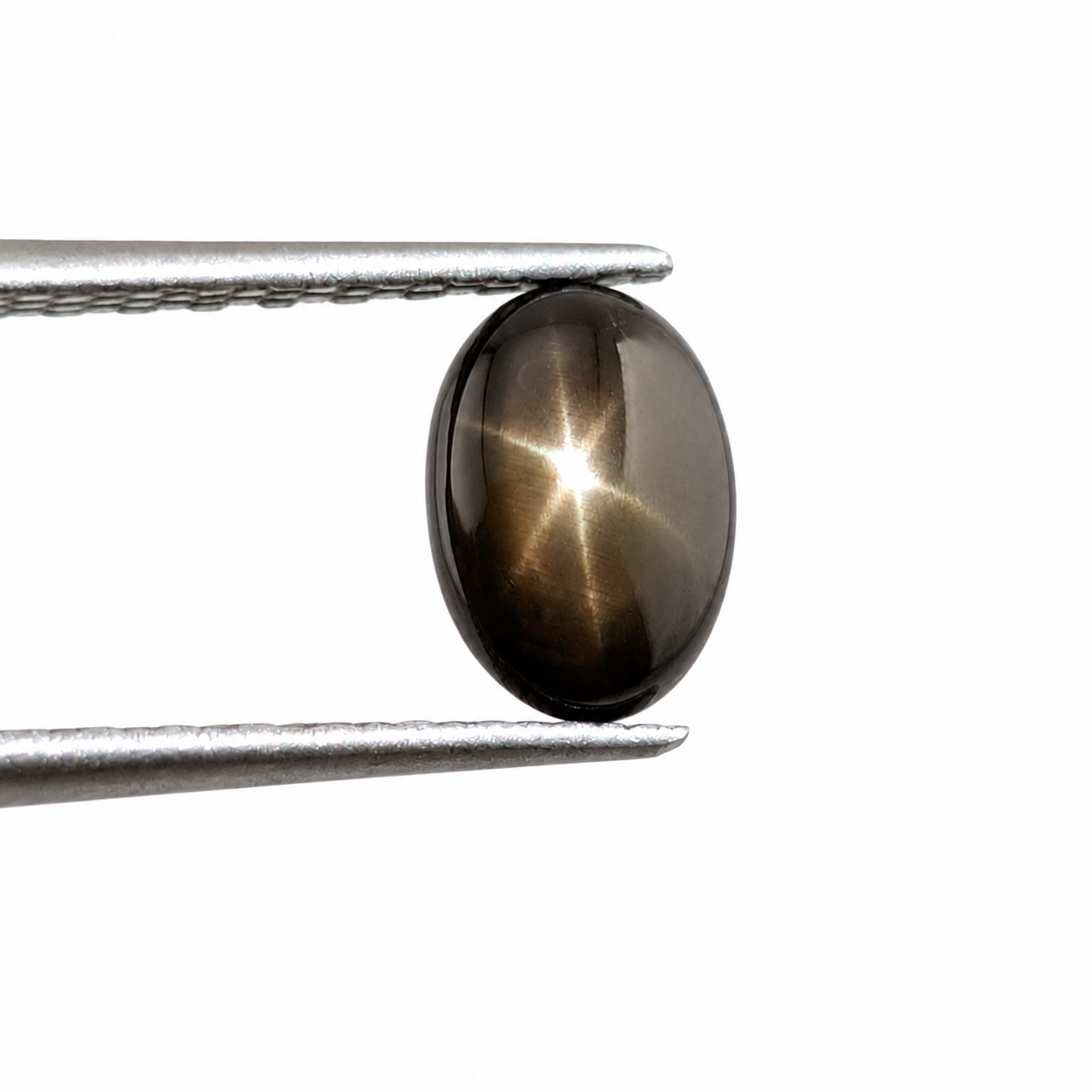 Zafiro Estrella Negro Cabuchón Ovalado 7 x 5 mm