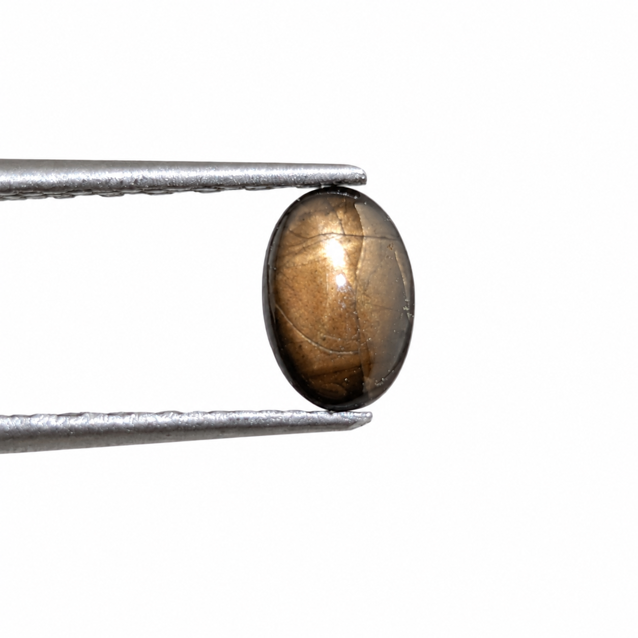 Zafiro Gold Sheen Cabuchón Ovalado 6 x 4 mm