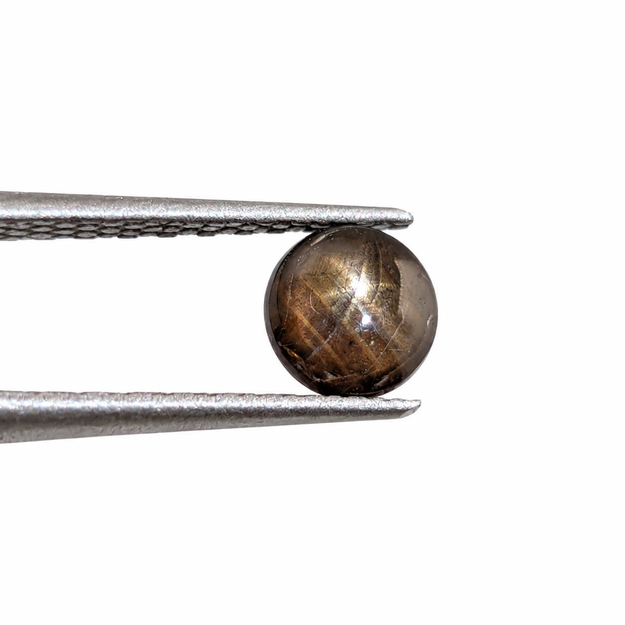 Zafiro Gold Sheen Cabuchón Redondo 5 mm