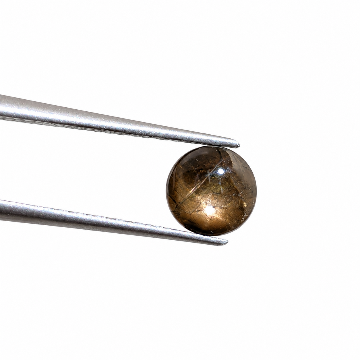 Zafiro Gold Sheen Cabuchón Redondo 6 mm