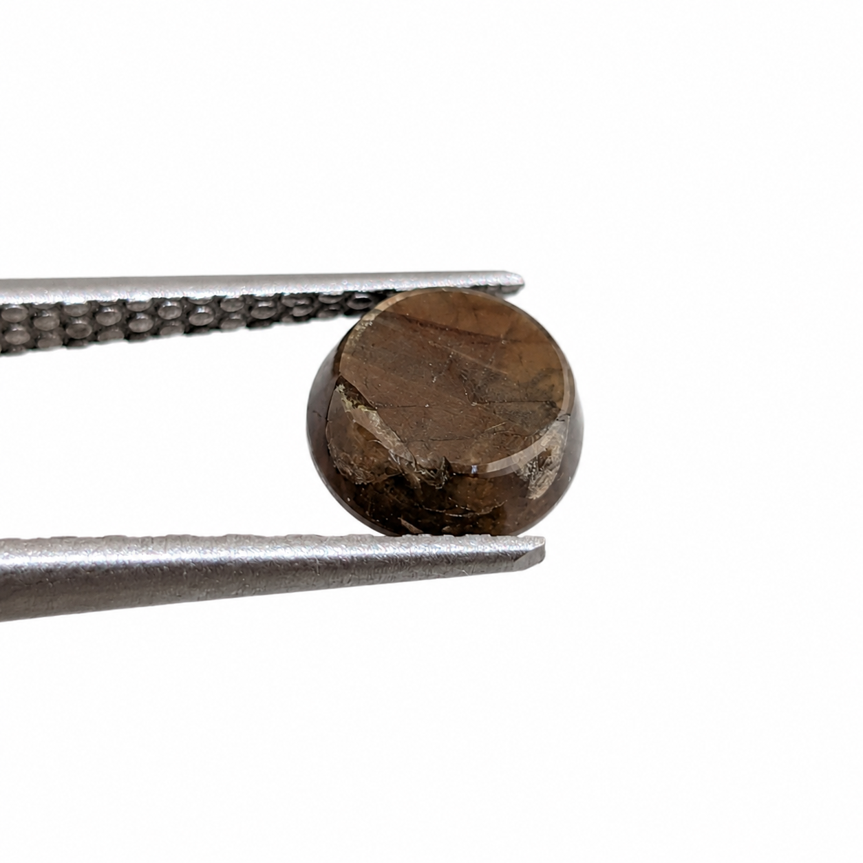 Zafiro Gold Sheen Cabuchón Redondo 6 mm
