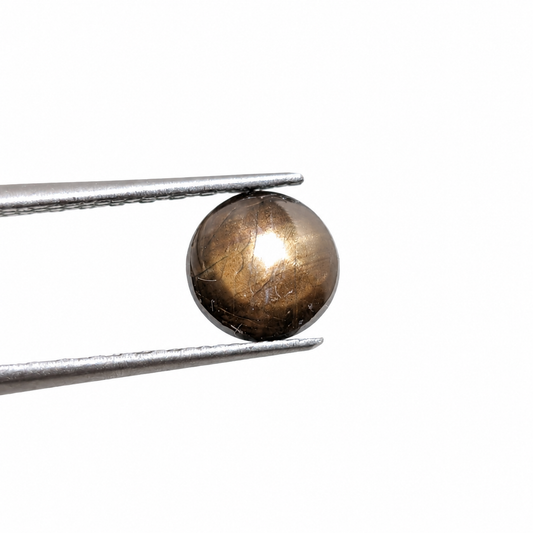 Zafiro Gold Sheen Cabuchón Redondo 7 mm