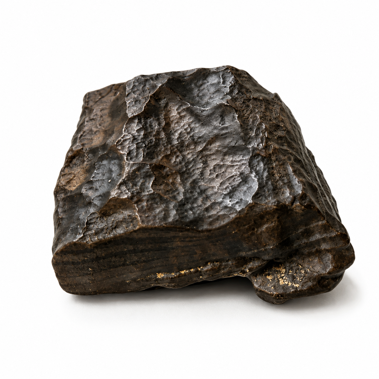 Fósil de Madera Petrificada 6 x 5 cm