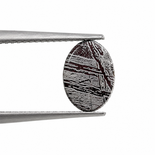 Meteorito Muonionalusta Rodajas Ovalado 6x8 mm