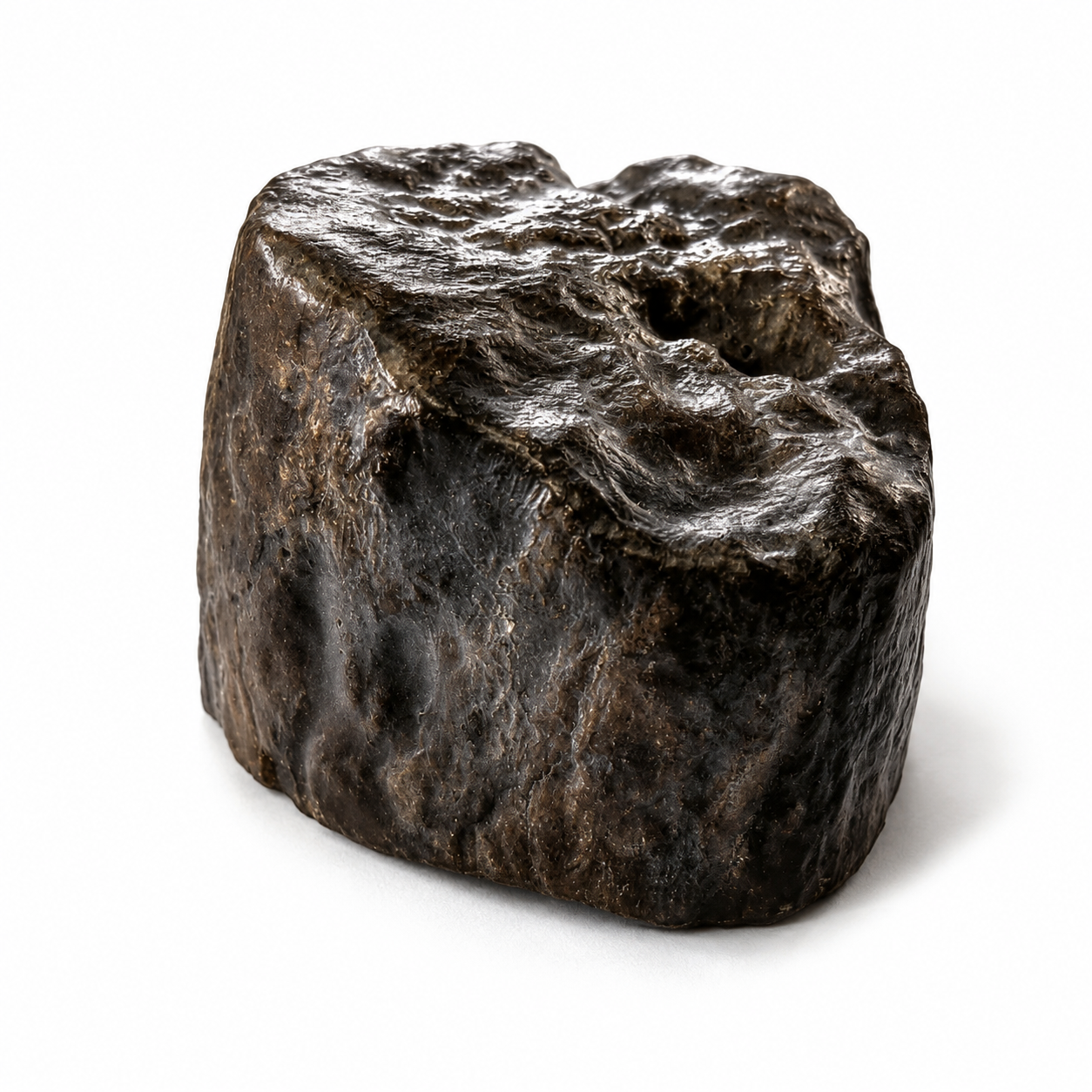 Fósil de Madera Petrificada 5 x 3 cm