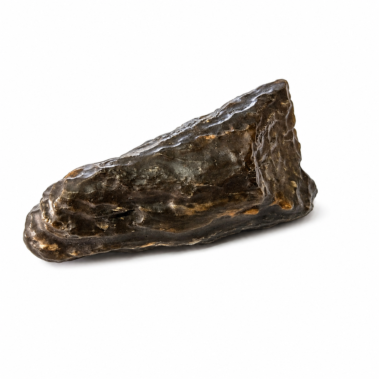 Fósil de Madera Petrificada 9 x 3 cm