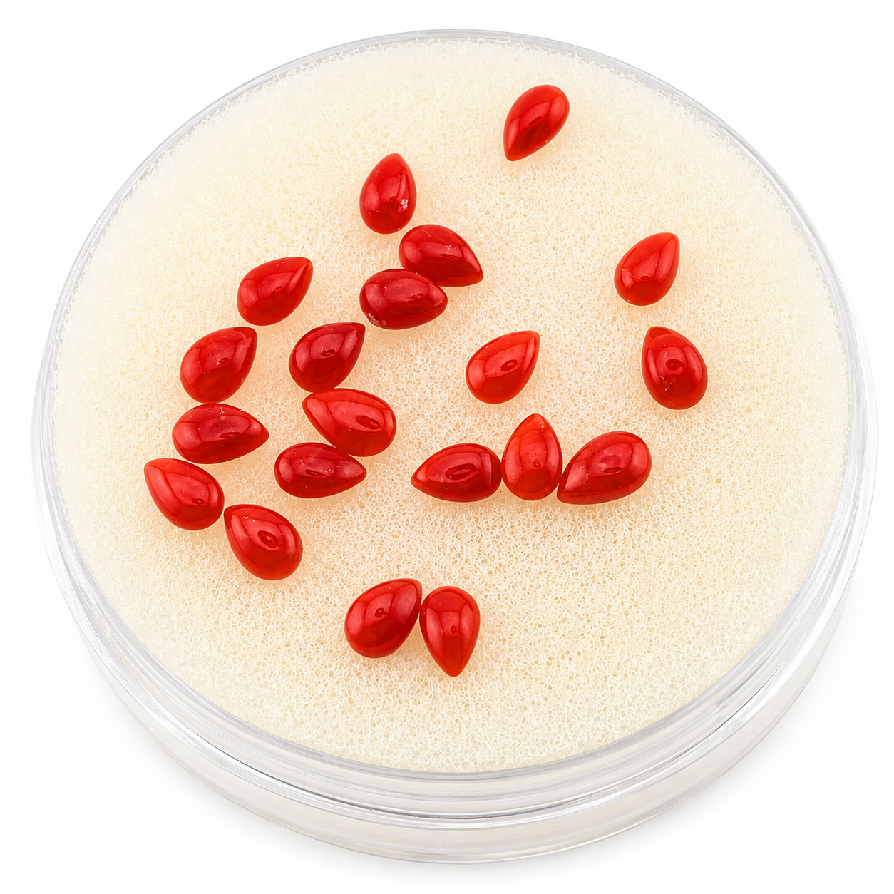 Coral rojo Cabuchon Gota 3x5 mm
