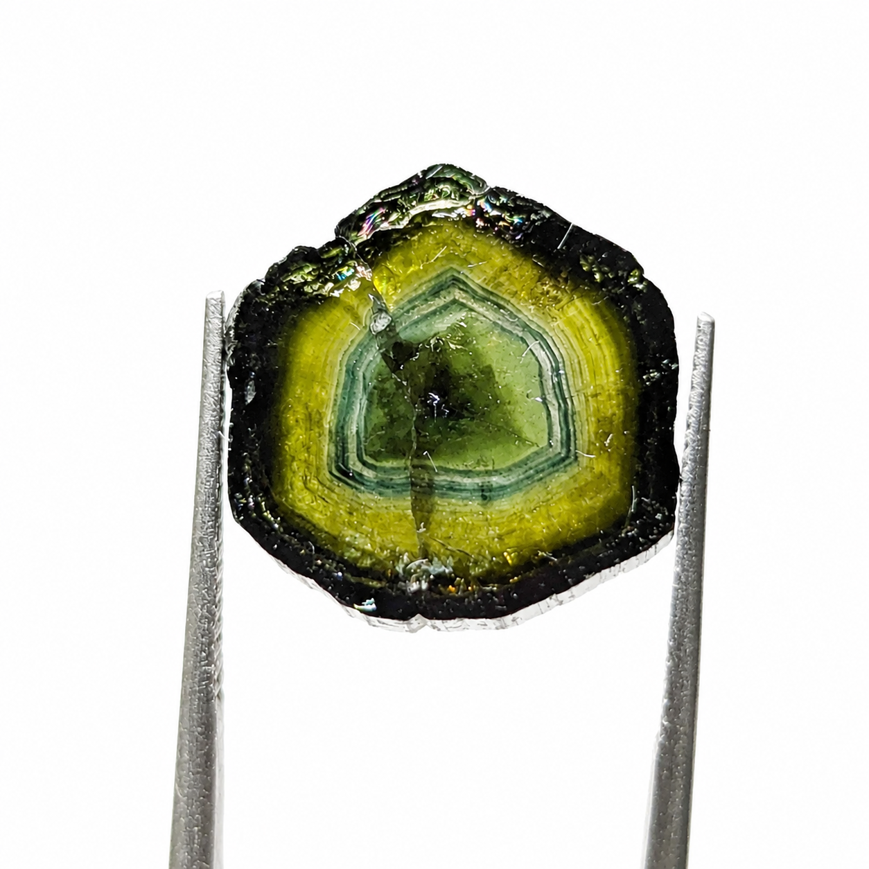 Turmalina Liddicoatita 15 mm