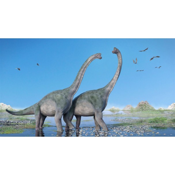 Hueso fósil de Sauropodo 20 cm – FO-HUSA1