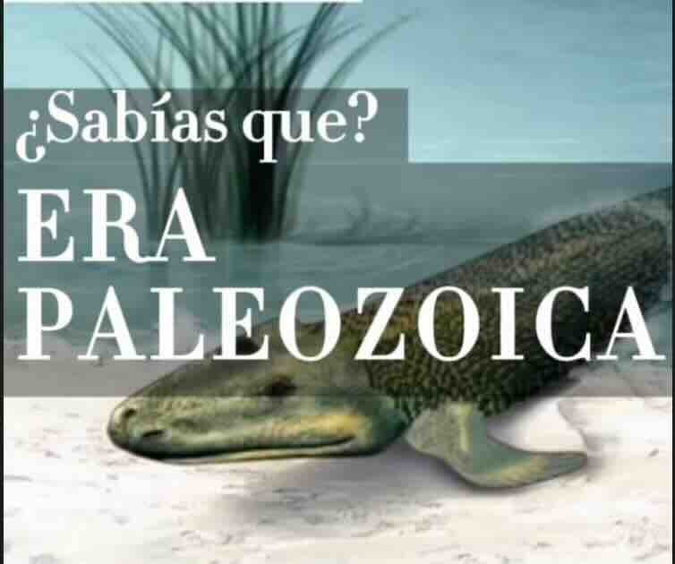 ¿SABIAS QUÉ? LA ERA PALEOZOICA
