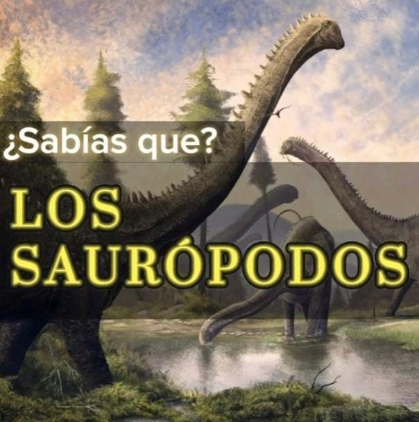 ¿SABIAS QUÉ? - LOS SOROPODOS